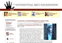 The Interstitial Arts Foundation