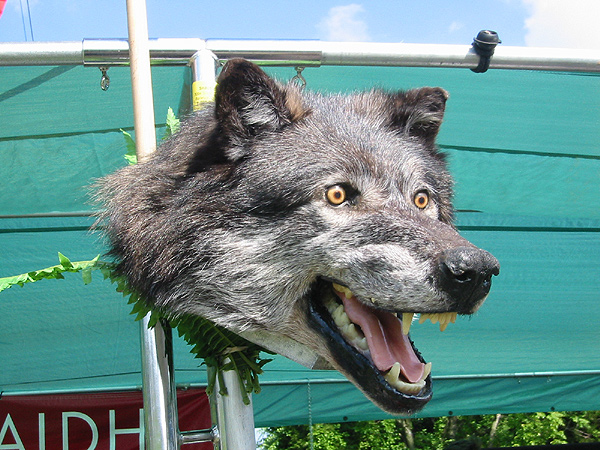 Wolf's Head