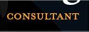 Consultant